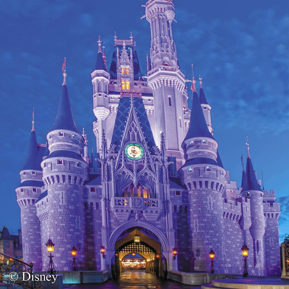 Disney World - Florida