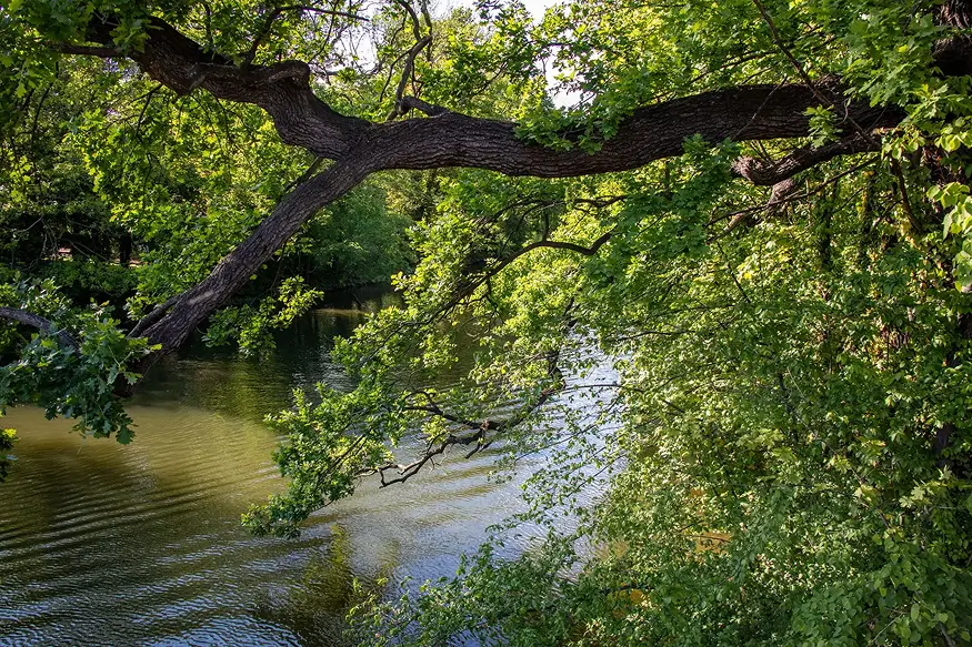 Clara-Zetkin Park and Leipzig Riverside Forest