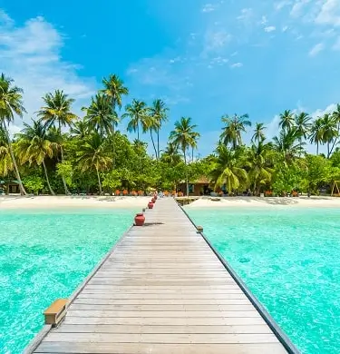 The Maldives