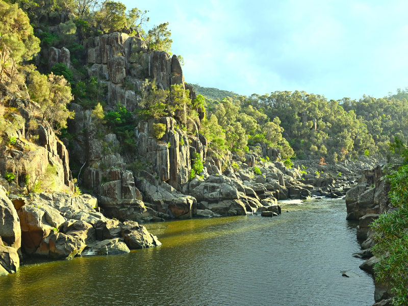 Tasmanian Wonders