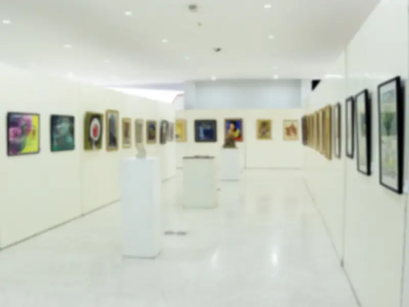 Museum and Art Gallery of the Northern Territory