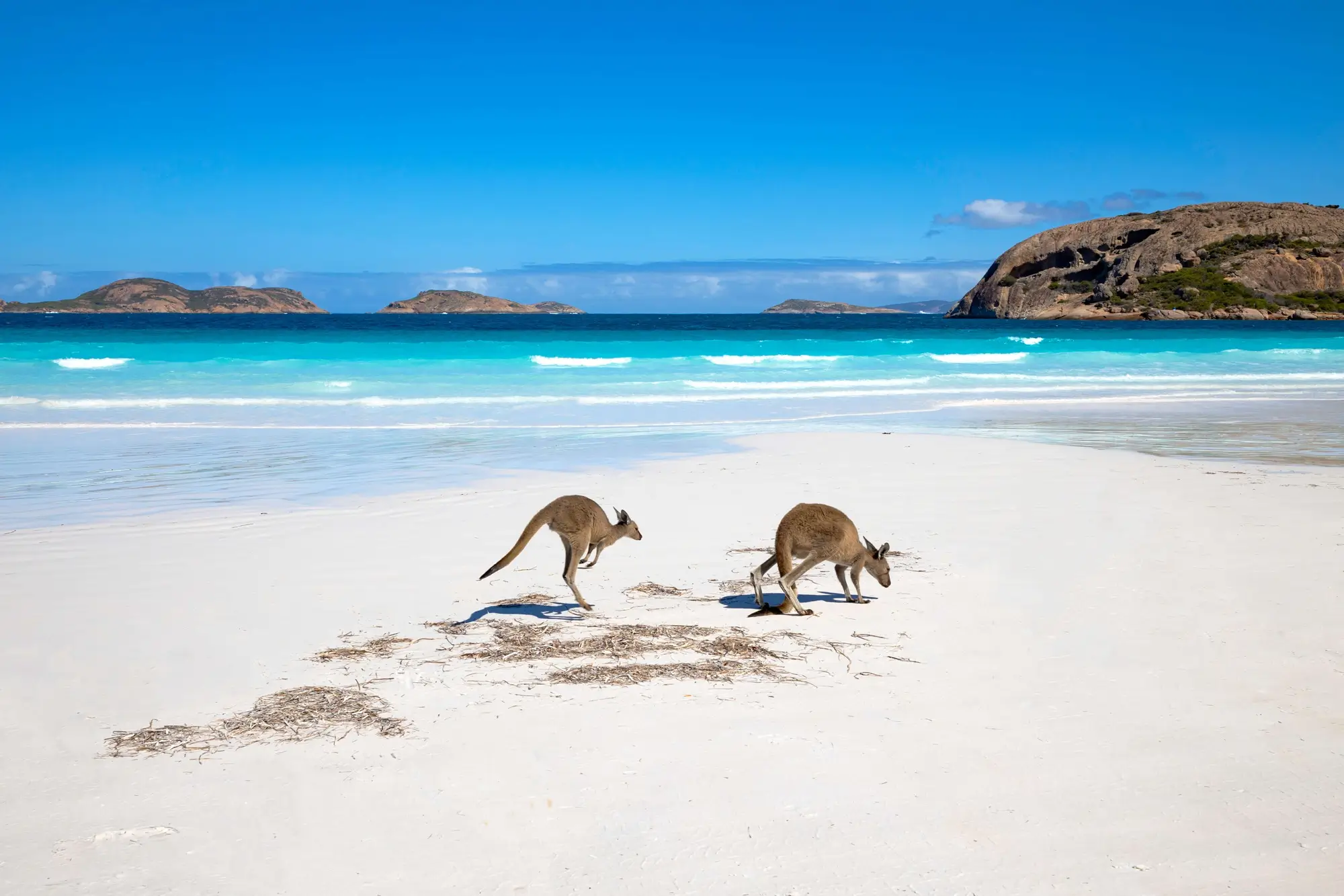 Featured: Australia