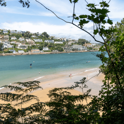 Devon