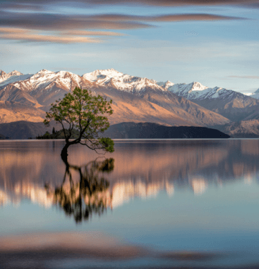 New Zealand