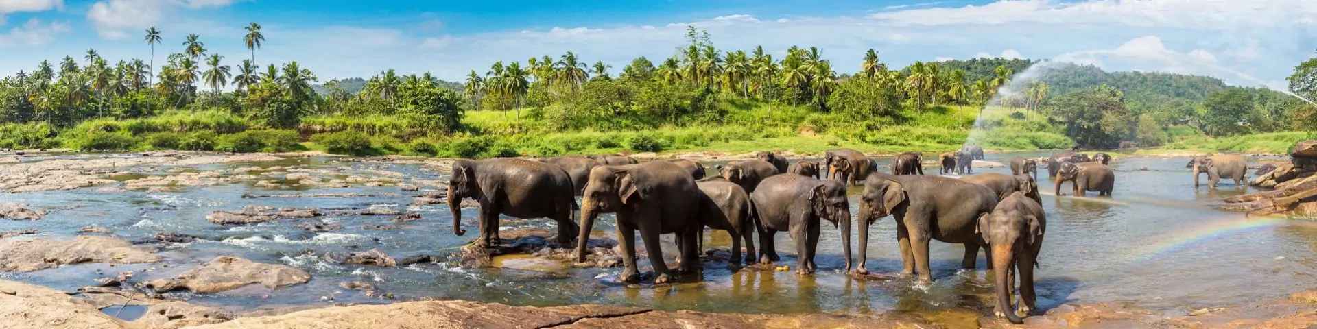 Treatments & Temples, Luxury in Sri Lanka