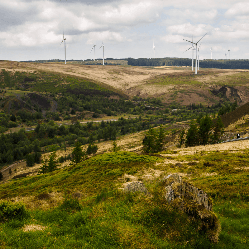 Torfaen County Borough
