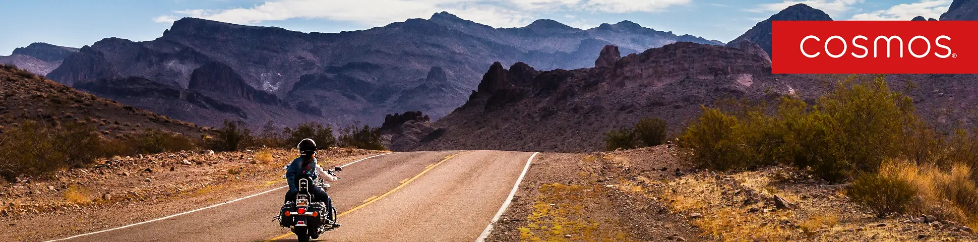 Cosmos