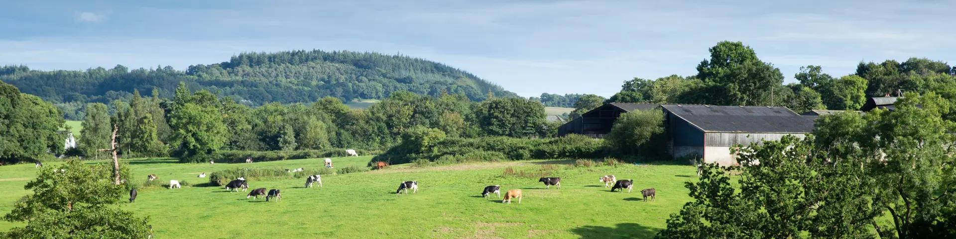 Hawkchurch Resort & Spa