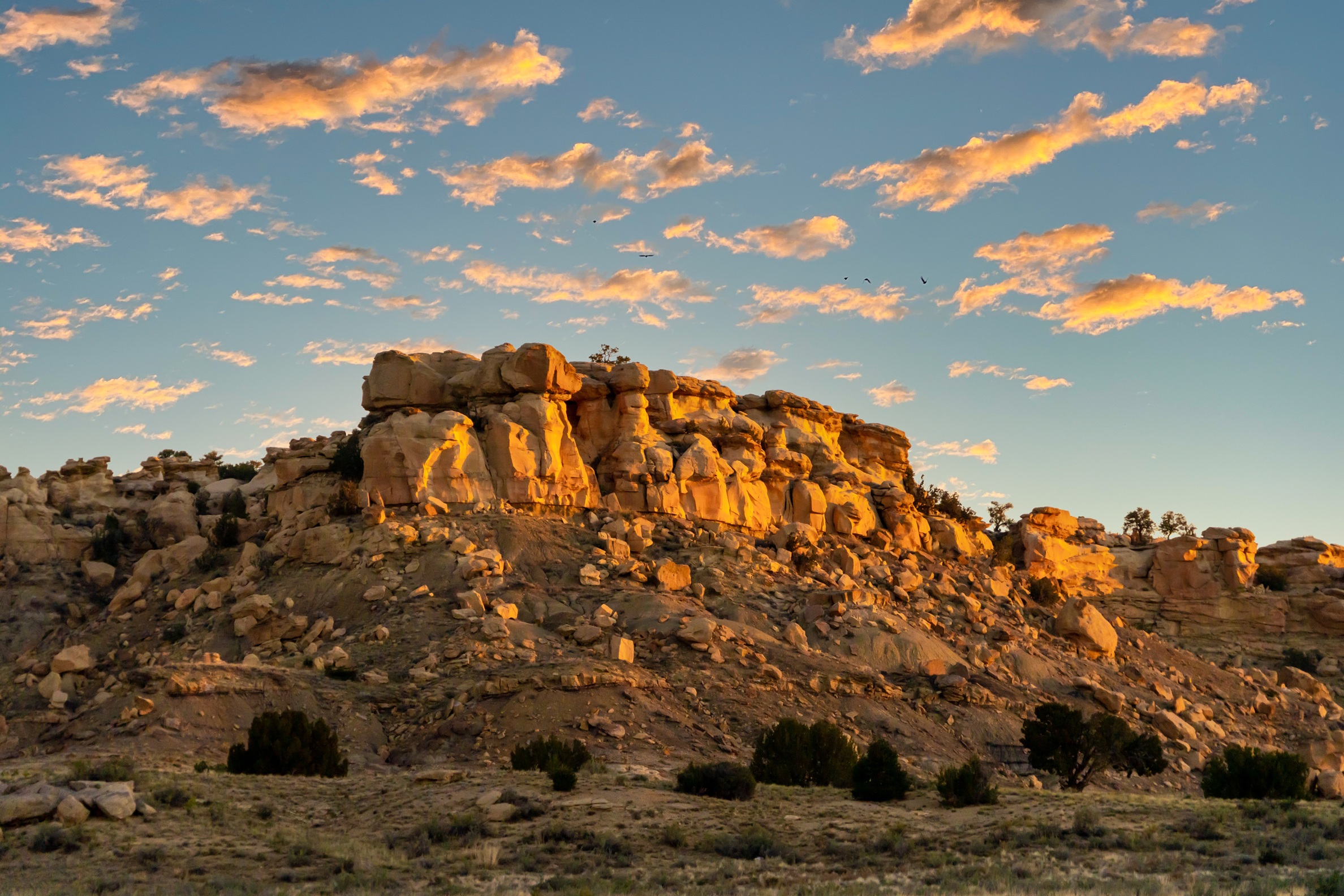 Santa Fe In Spring