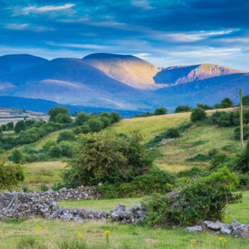 County Down