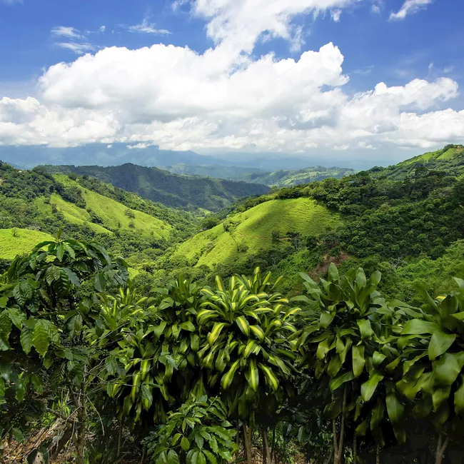 Costa Rica Nature Adventure