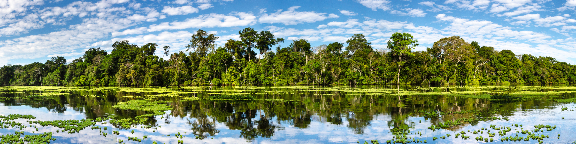 Amazon Riverboat Adventure In Depth