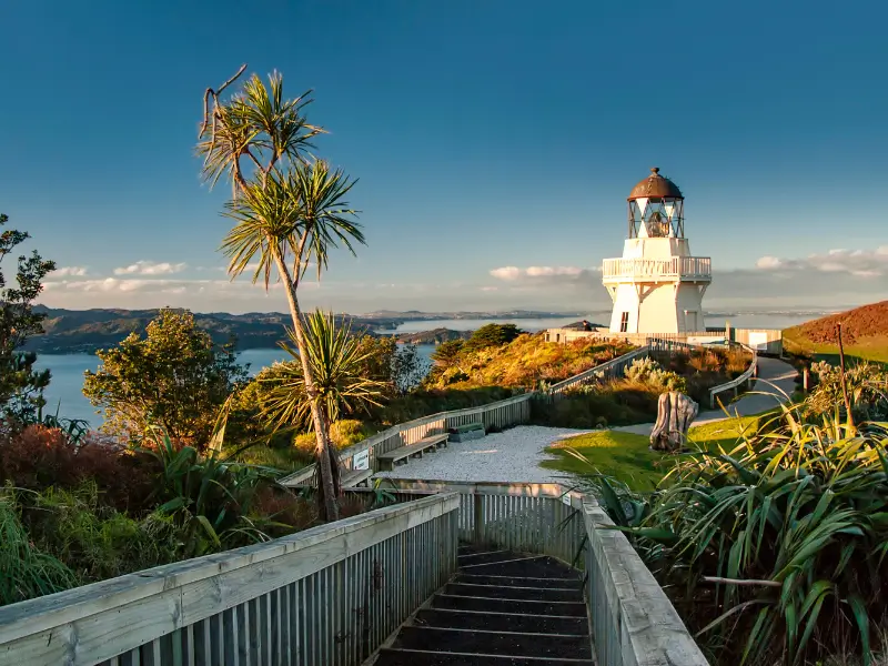 A Taste of New Zealand