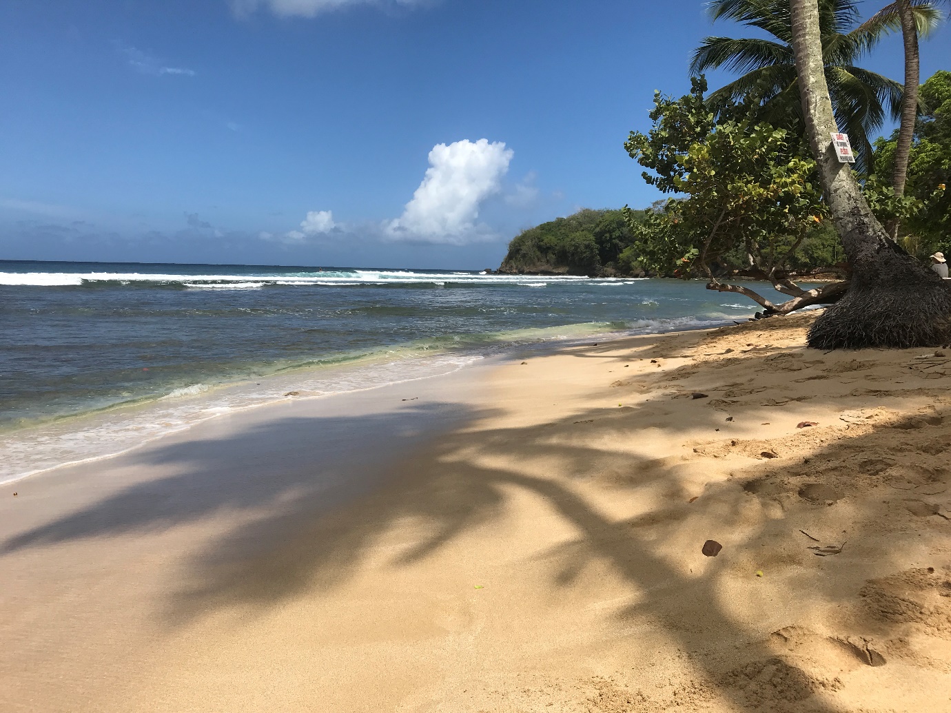 Aruba