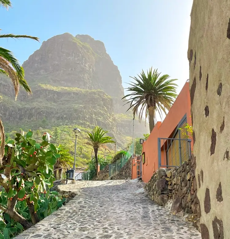Things to see and do in Tenerife