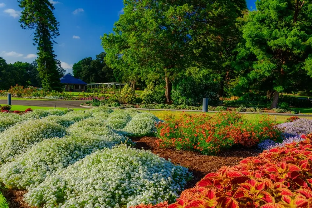 Royal Botanic Garden, Sydney