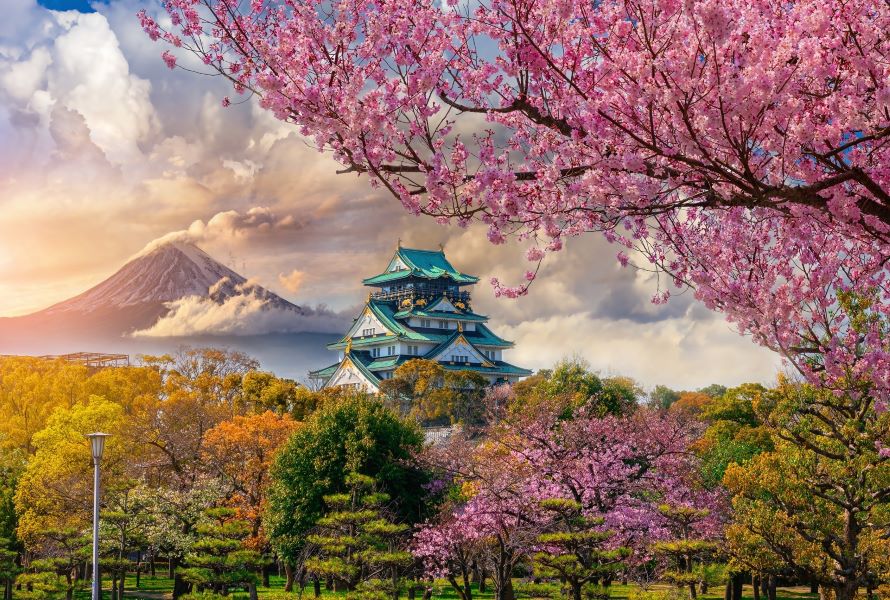 Japan – My Dream Destination 🌸