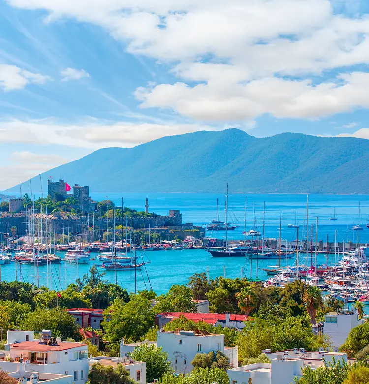 Fly from Newcastle to Turkey