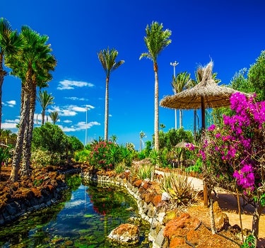 Canary Islands