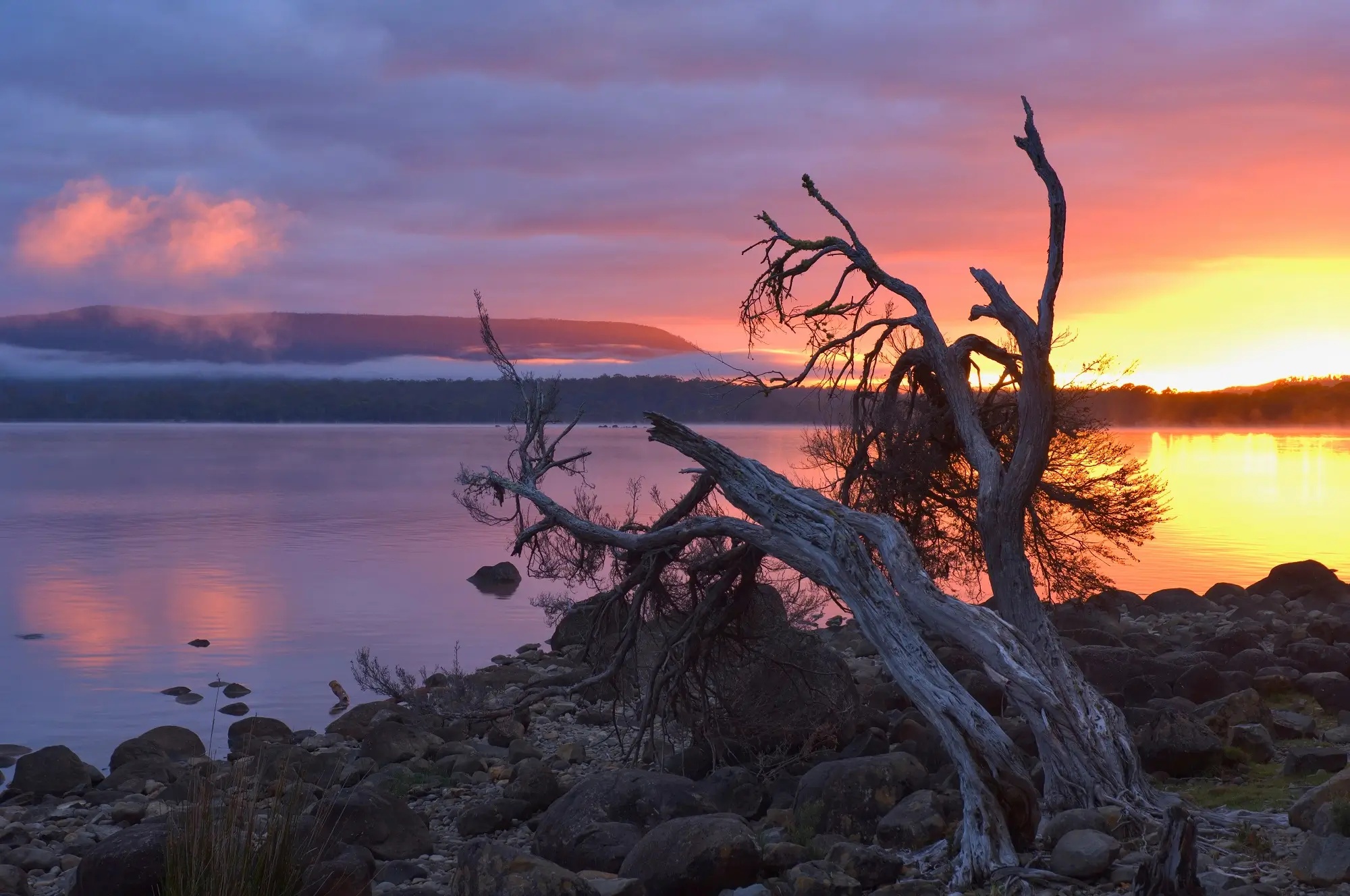 Lake St Clair at sunset, Tasmania