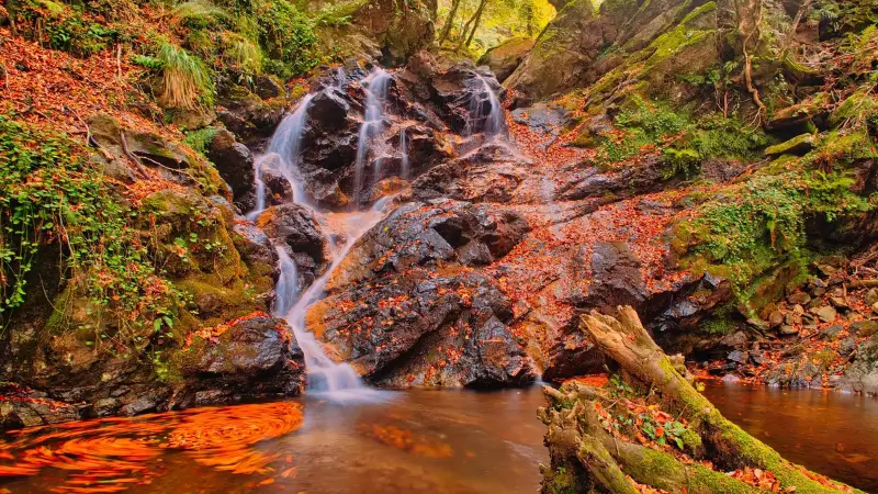 Hike in Aspromonte National Park