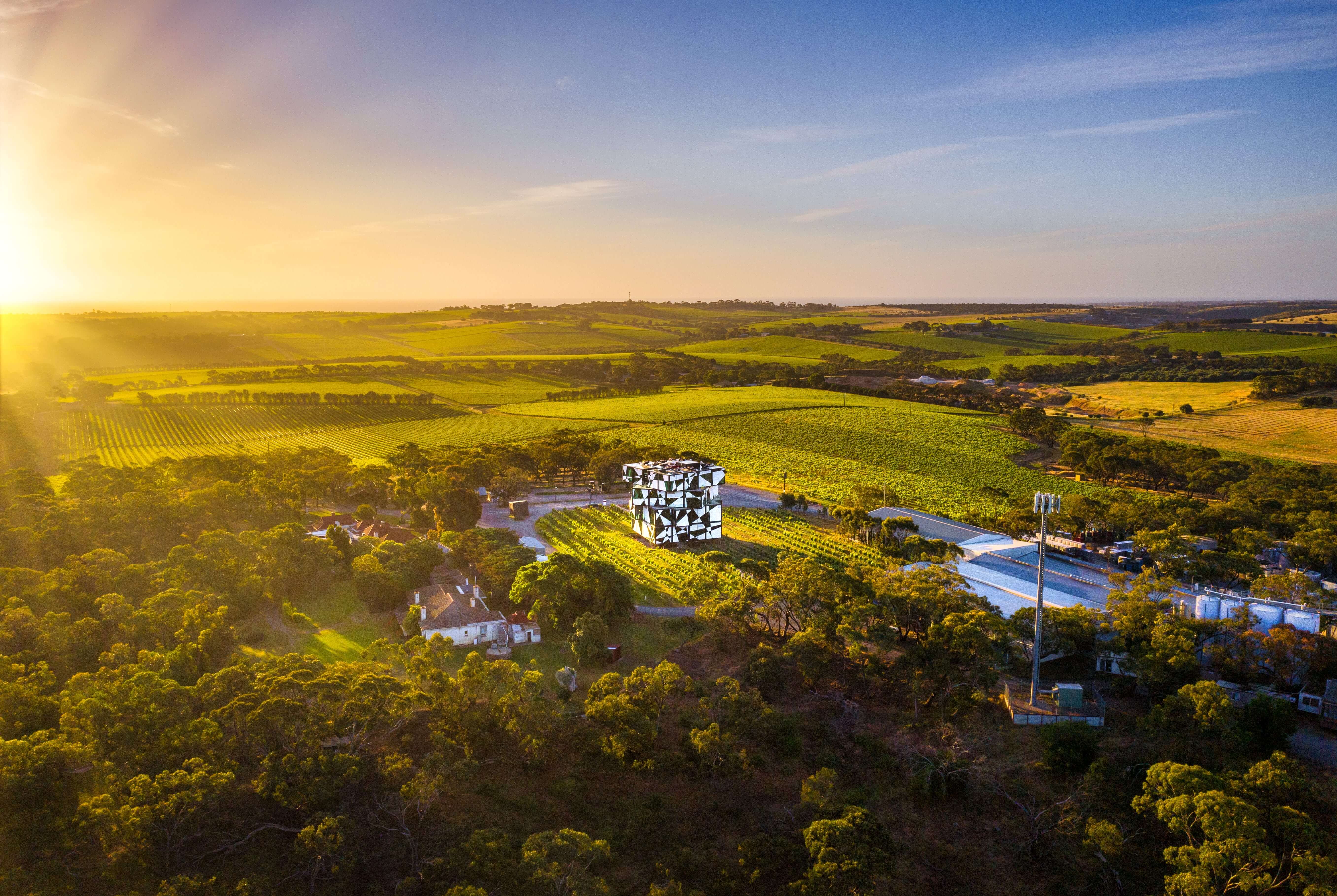 Vineyards in the Mclaren Vale, South Australia