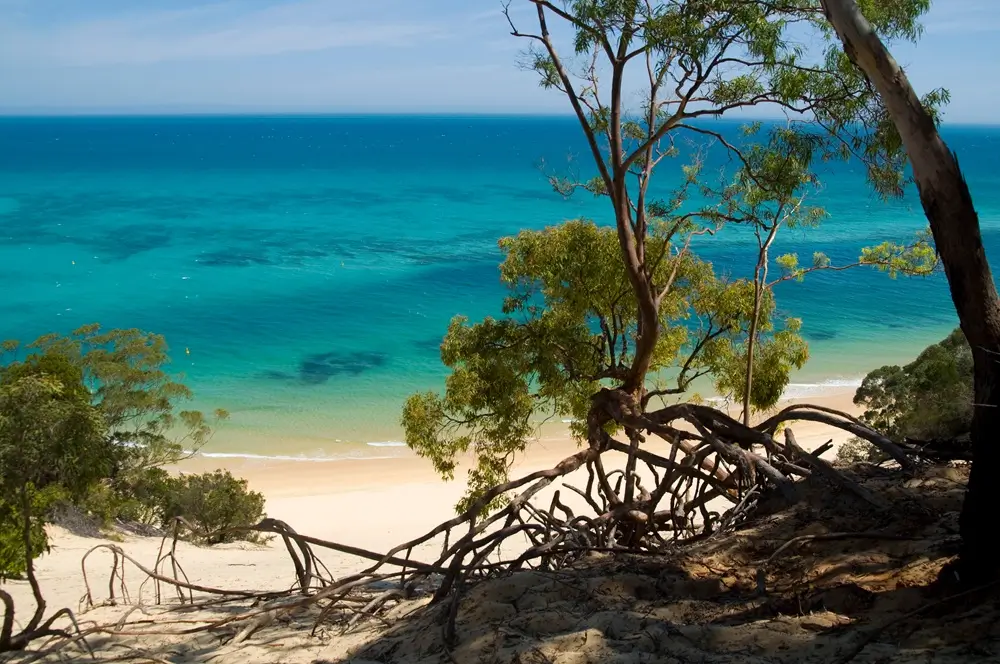 Moreton Island, Brisbane