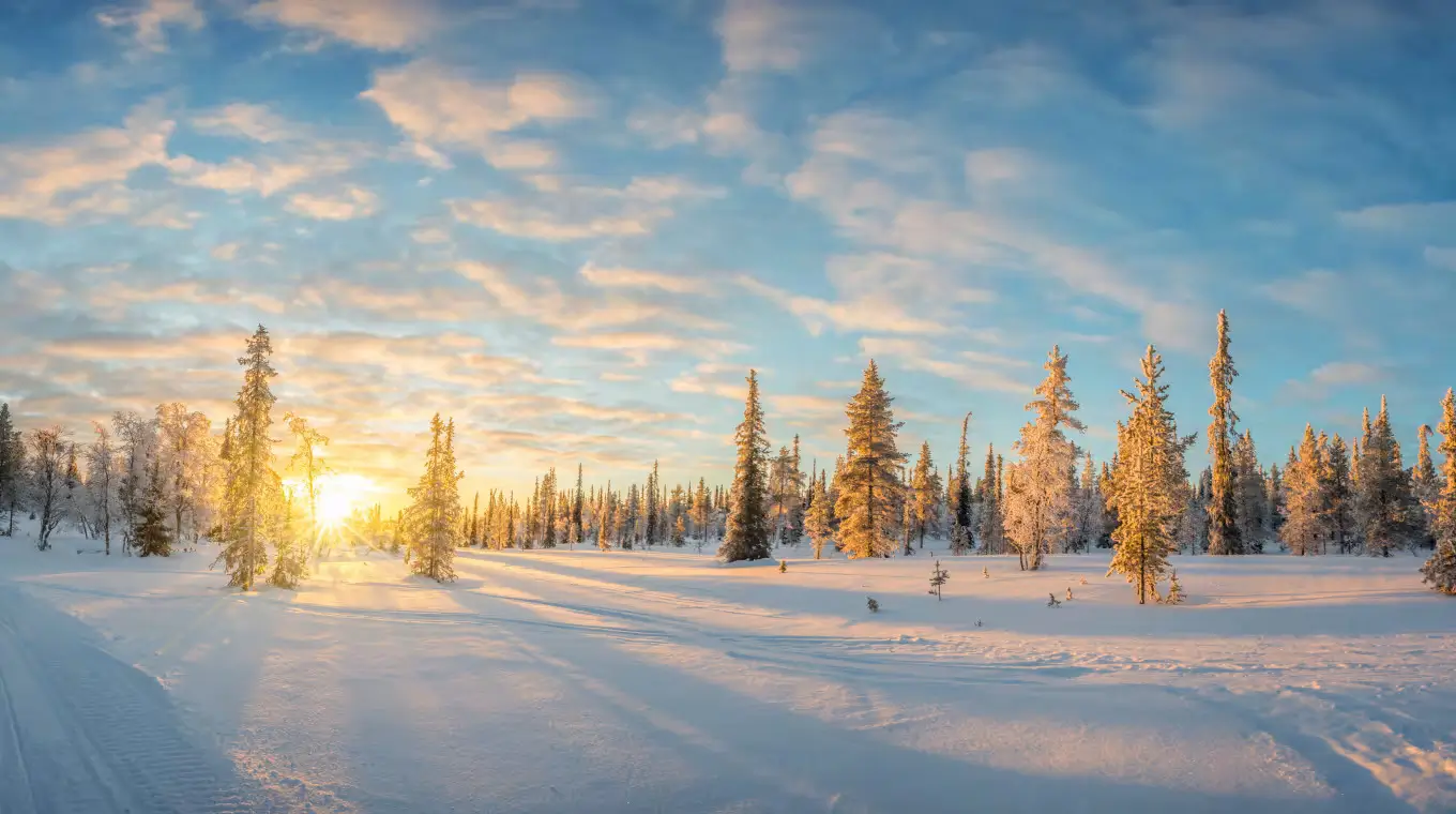 Finland Family Winter Adventure