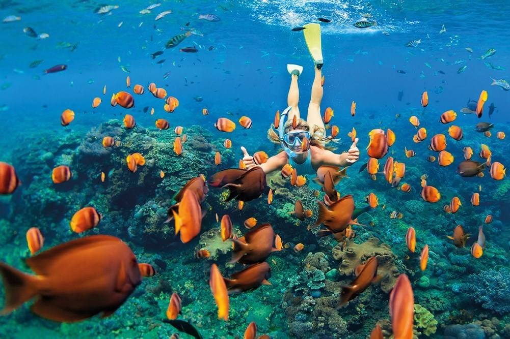 Sydney, Rock & Reef