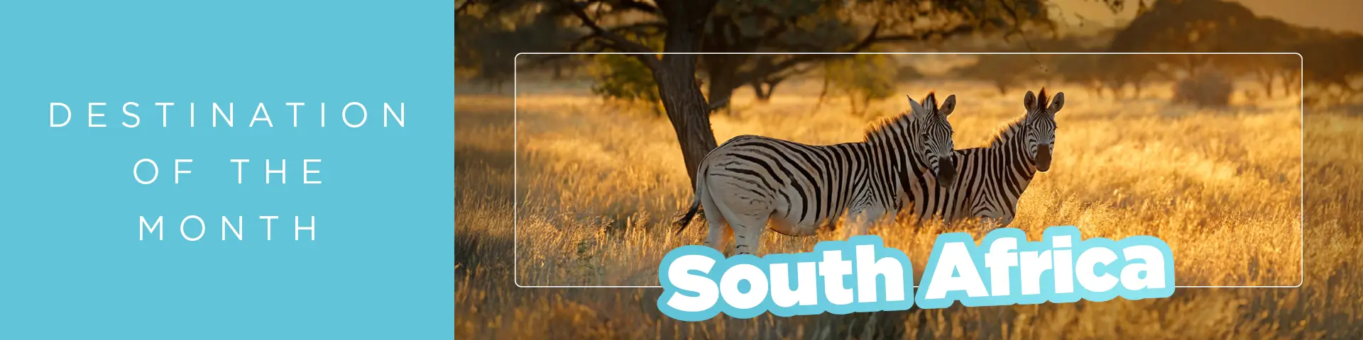 South Africa Holidays