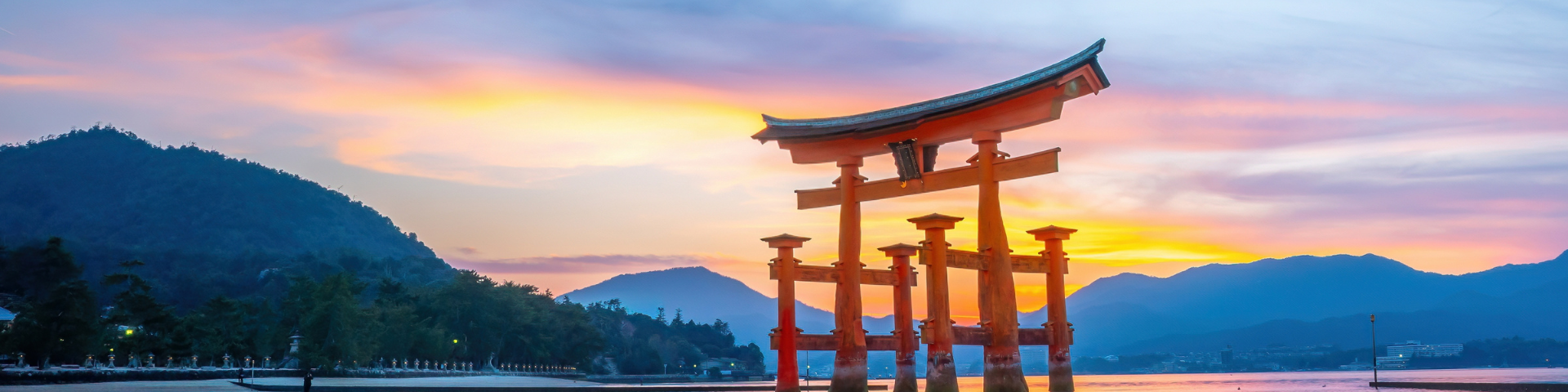 The Japan Experience