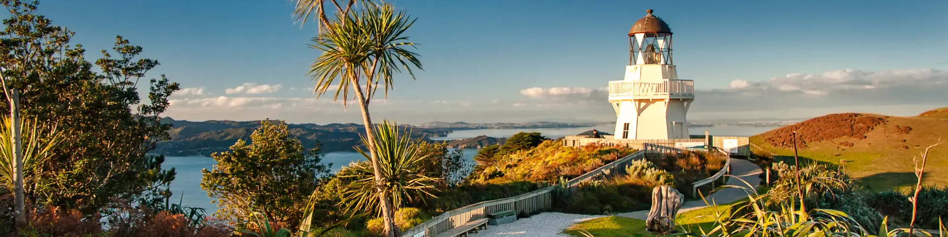 A Taste of New Zealand