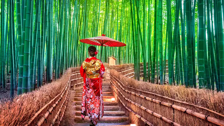 The Best of Japan