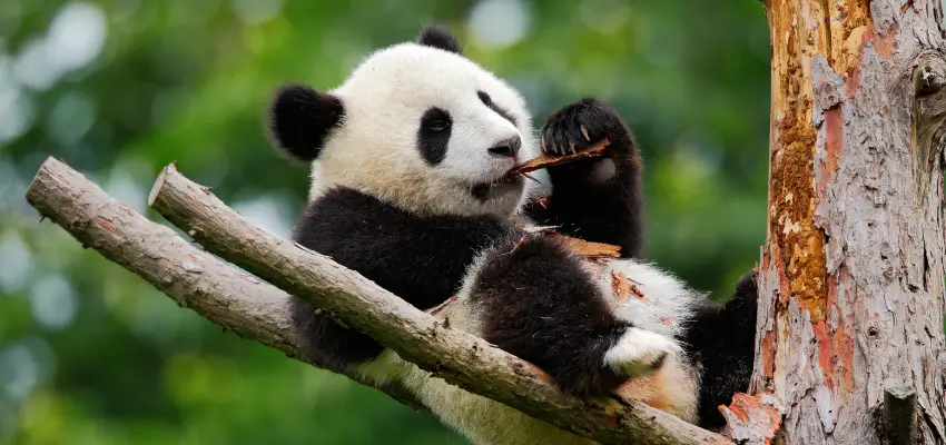 China Holidays: The Surprising Destination You'll Wonder Why You Didn't Visit Sooner 