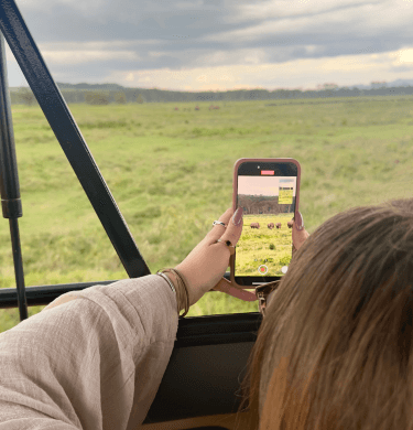 How to Take the Perfect Picture on Safari: Smartphone Special