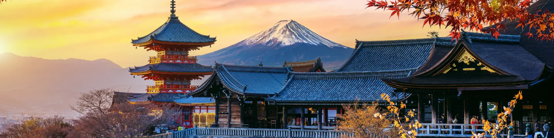 Tokyo Holidays