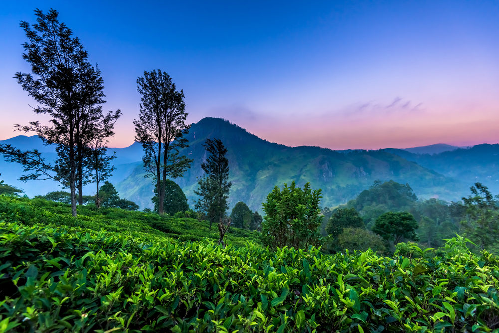 Sri Lanka