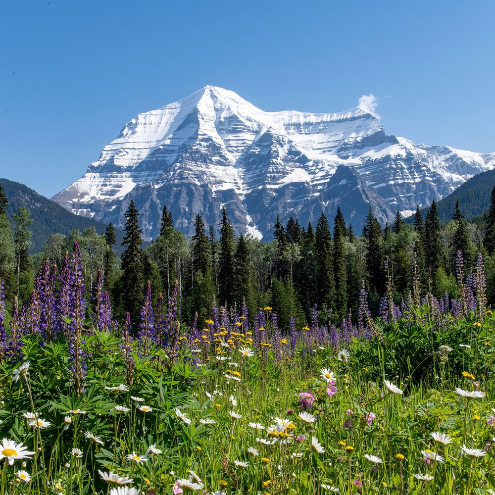 The Canadian Rockies with Alaska Cruise