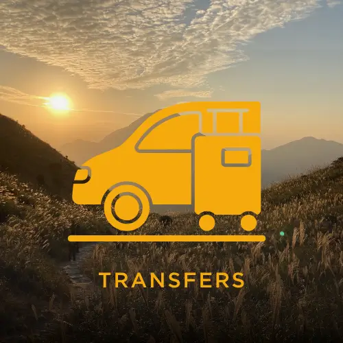 transfers 