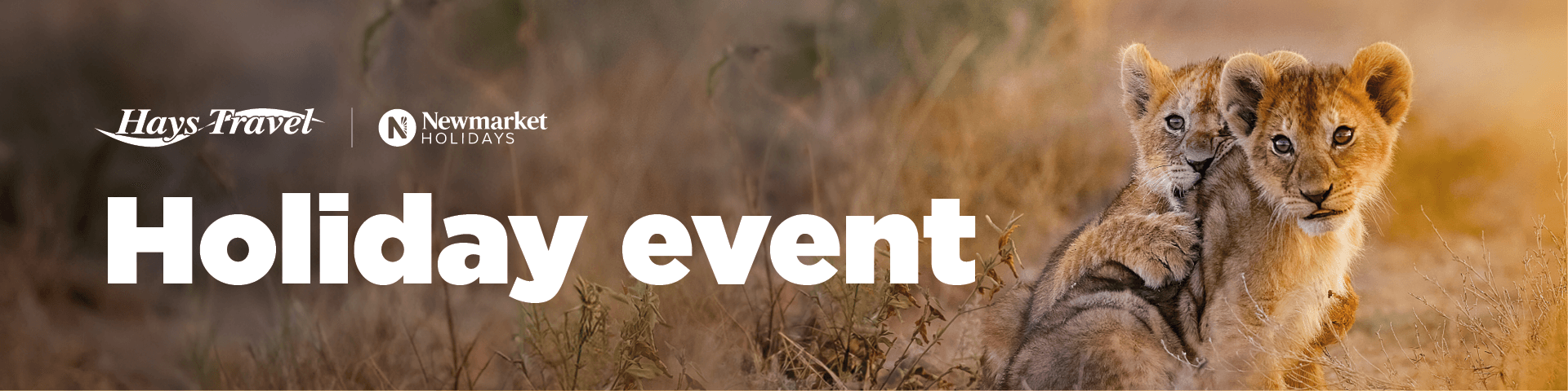 Newmarket Holiday Consumer Events
