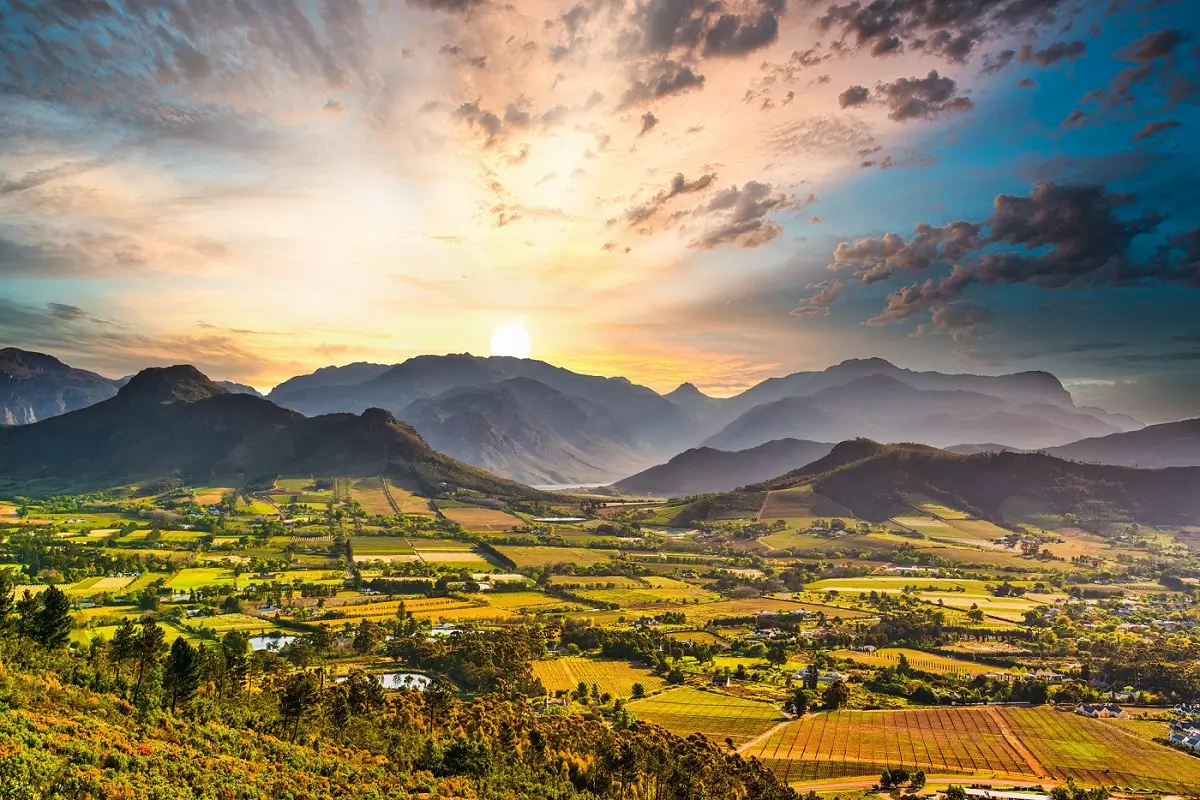 Vines, Views & Vintage Rails: A South African Adventure