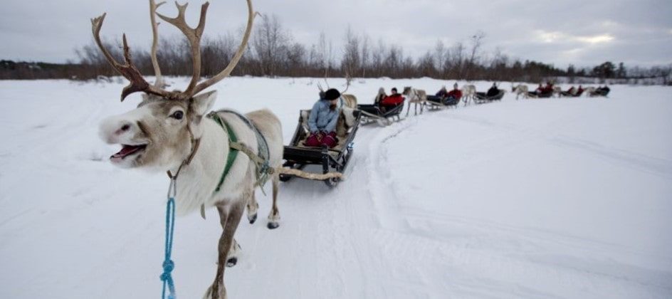 lapland uk day trip