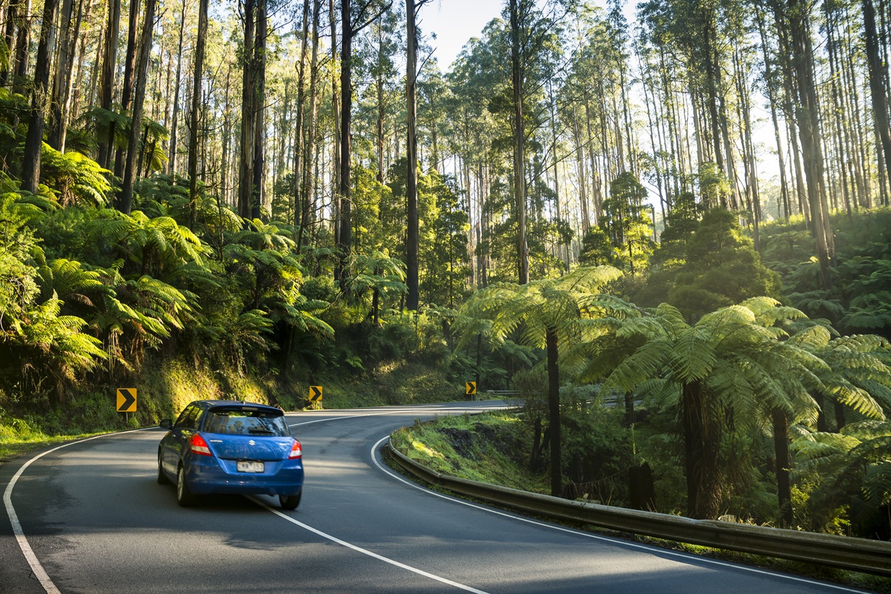 Victoria Self Drive 