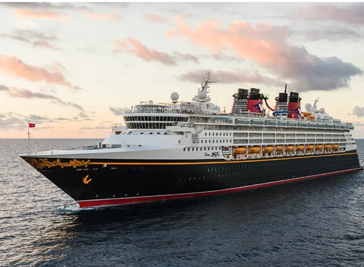 Disney Magic