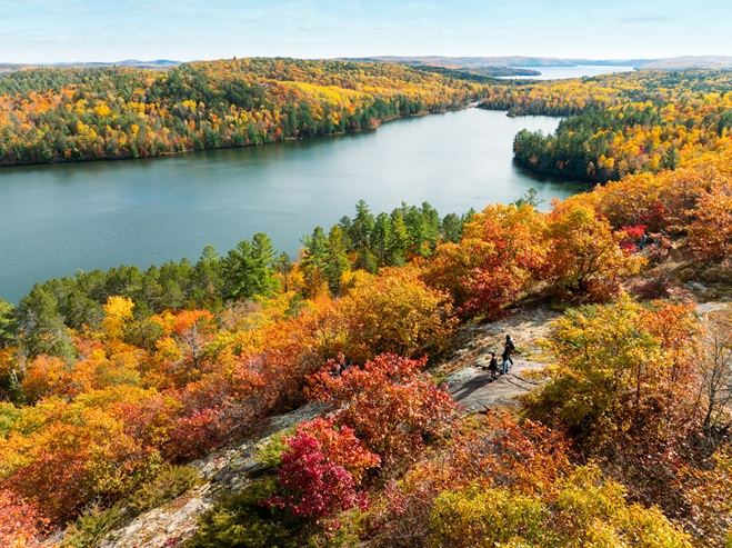 Get up close to nature, wildlife, and the awe-inspiring Niagara Falls