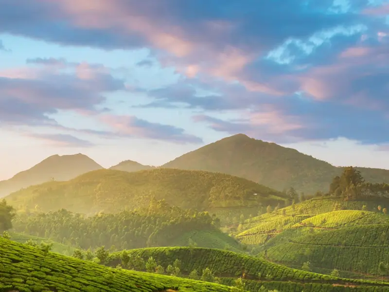 Kerala Explorer