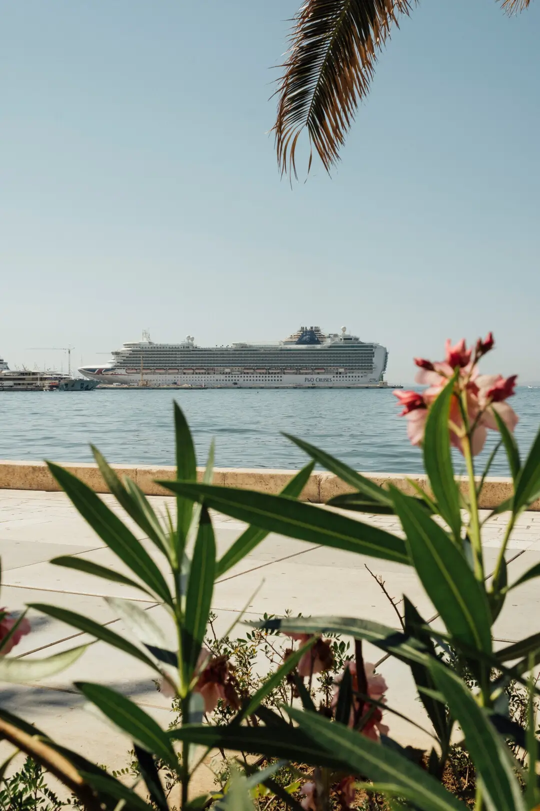 P&O Cruises Winter 2028/29: New Cruises & Highlights