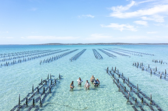 Eyre Peninsula, South Australia