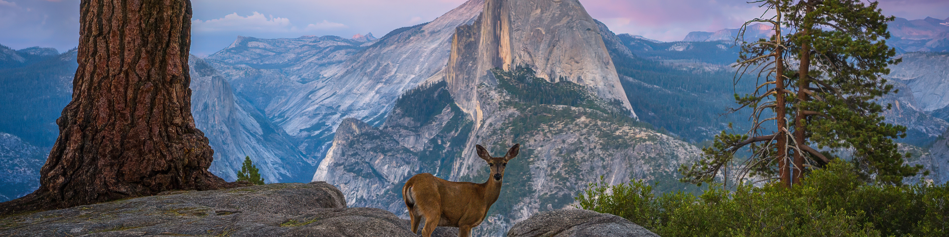 Northern California Highlights