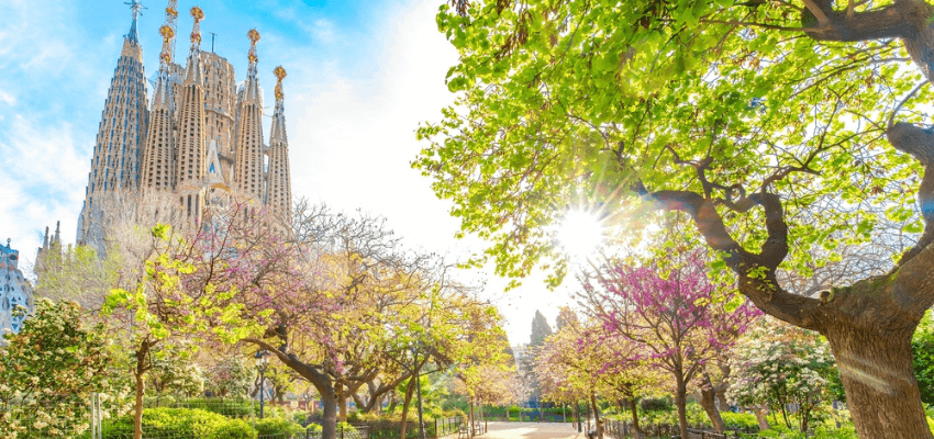 Everything You Need to Know About Barcelona: From Blanes to Bars